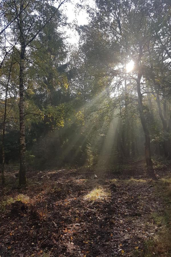 B&B De Loenense Bossen Buitenkant foto